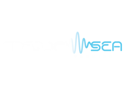 Fast-Flag Partners: FrequenSea Logo