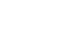 Fast-Flag Partners: GOST Logo
