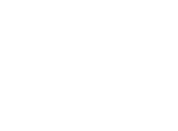 Fast-Flag Partners: OmniSense Logo