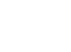 Fast-Flag Partners: Ship Tronics Logo
